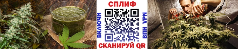 Canna-Cookies конопля  Старица 