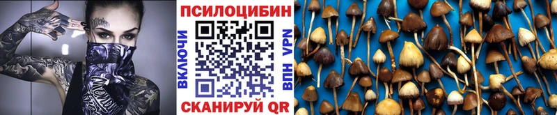 МЕГА как зайти Старица Галлюциногенные грибы GOLDEN TEACHER